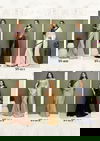 Sanvi 2 By Shashvat Fancy Georgette Party Wear Saree Wholesale Clothing Suppliers In India